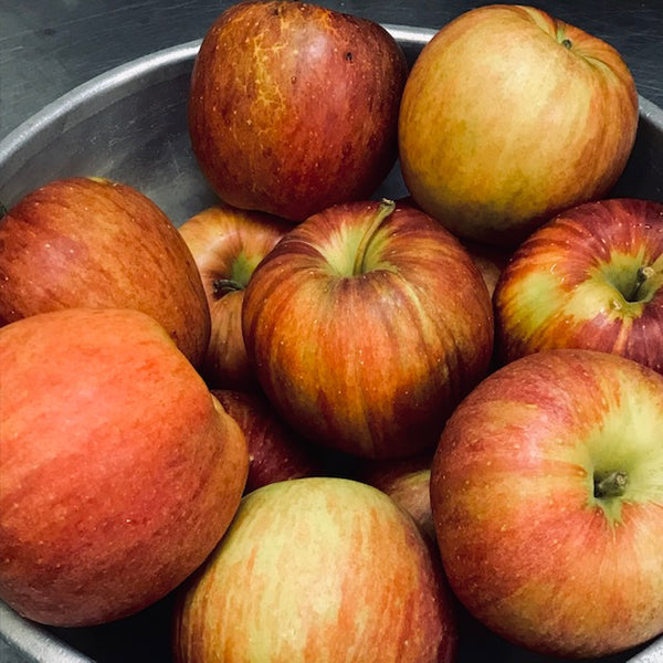 10月（神無月）の晦日餅「リンゴとさつまいもの大福」